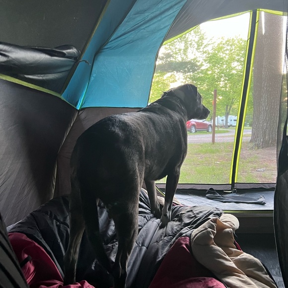 Meet your Posher 🅼🅾︎🅽🅸 😘 - Picture 5 of 16